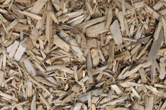 biomass boilers Braegrum